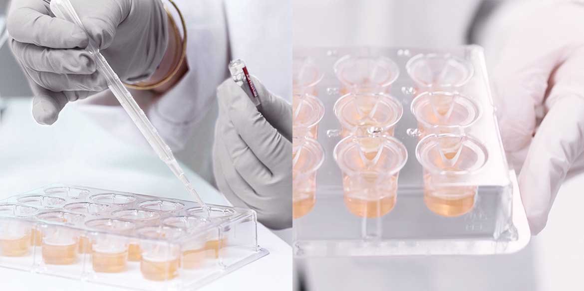 Brand Section Science Image 3